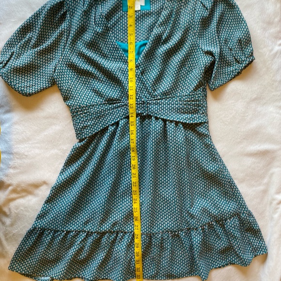 C. CLEAROUT for Two Time Host Pick 🎉 12P/LP Anthropologie Keily Belted Dress - Picture 10 of 10